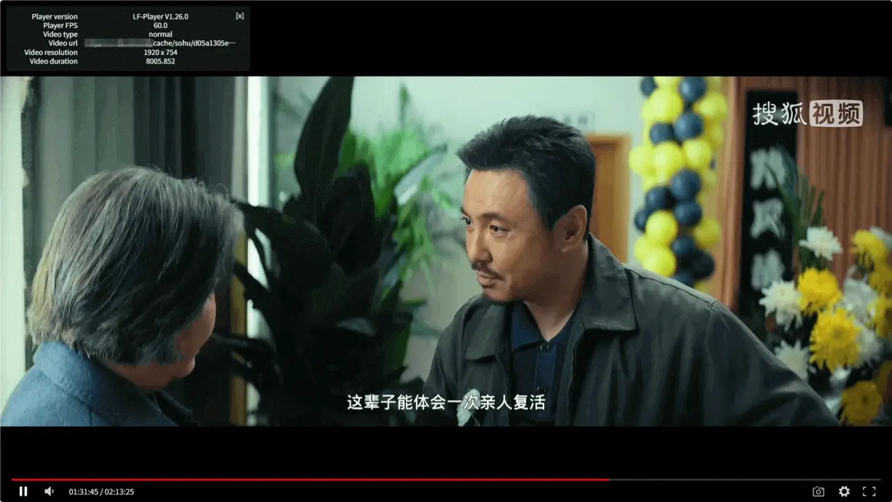 图片[2]-搜狐视频解析API【测试时间：2025.12.18】-聆风小站